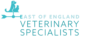 Specialist marketing for vets